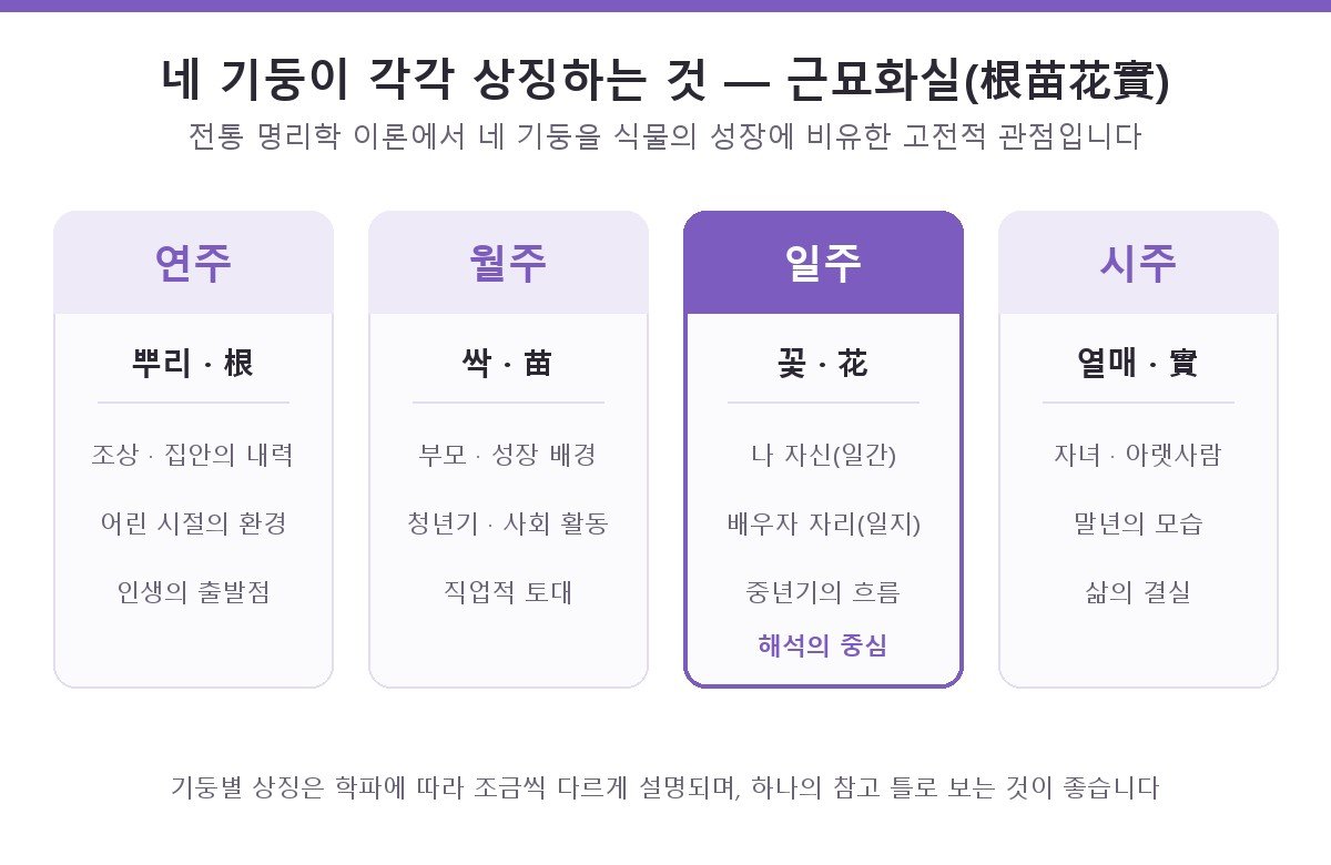 연주, 월주, 일주, 시주 네 기둥의 상징을 근묘화실에 비유해 비교한 카드형 도해 — 일주가 해석의 중심으로 강조되어 있다