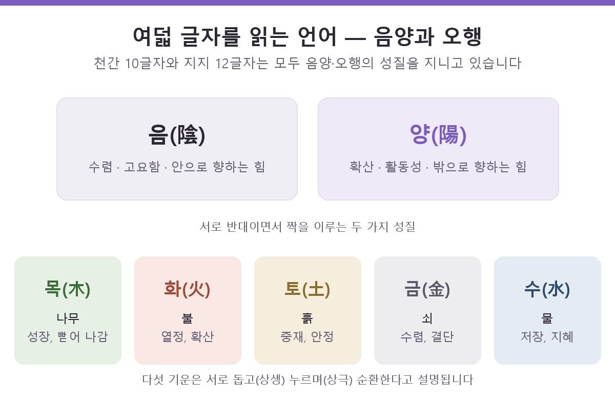 음양오행 개념도 — 음과 양의 상반된 성질, 그리고 목화토금수 다섯 가지 오행의 특징을 정리한 도해