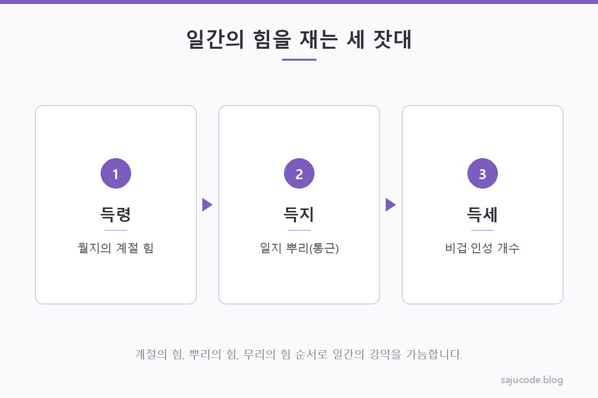 득령·득지·득세 세 기준으로 일간의 힘을 판단하는 과정을 보여주는 도해