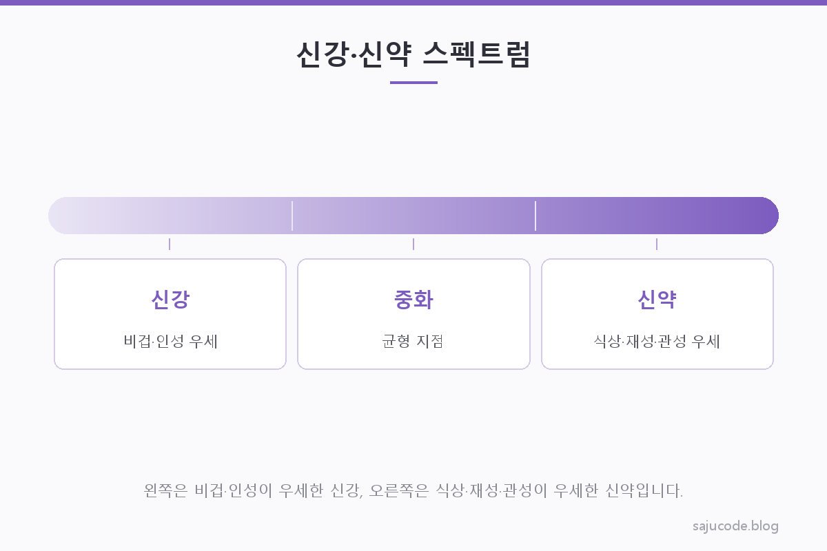 신강과 신약을 하나의 스펙트럼 위에 놓고 비교한 카드형 도해