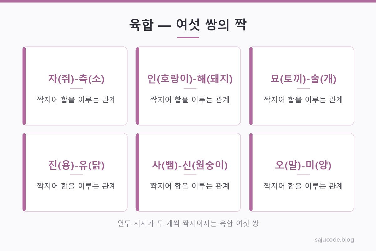 자축·인해·묘술·진유·사신·오미 여섯 쌍의 육합 관계를 두 지지가 나란히 짝지어지는 형태로 정리한 도해