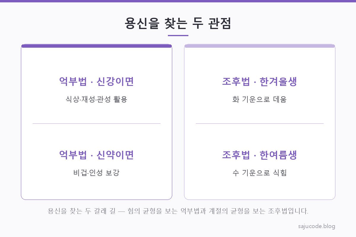 억부법과 조후법 두 관점을 비교하는 도해 — 억부법은 신강·신약에 따라 넘치는 힘을 누르거나 모자란 힘을 채우고, 조후법은 태어난 계절의 한난조습 균형을 맞춘다