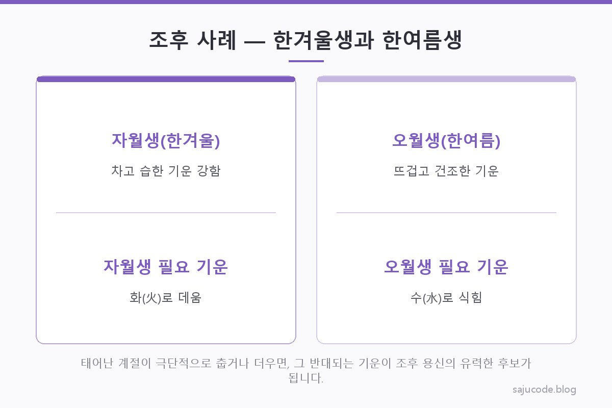 한겨울 자월생과 한여름 오월생 두 사주를 나란히 놓고 조후상 필요한 기운을 비교하는 카드 도해 — 자월생은 화 기운, 오월생은 수 기운이 필요하다